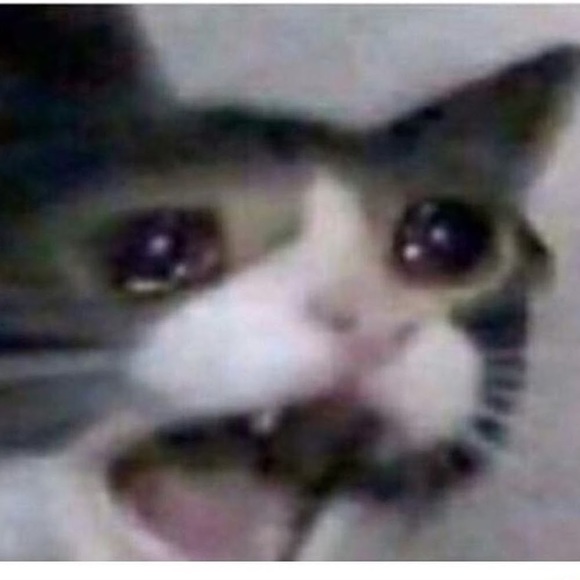 Meet your Posher, Tetris - Picture 1 of 1